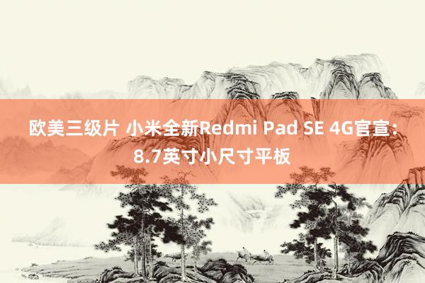 欧美三级片 小米全新Redmi Pad SE 4G官宣：8.7英寸小尺寸平板