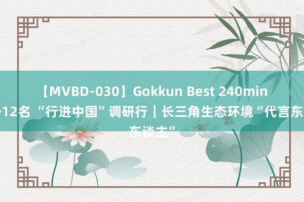 【MVBD-030】Gokkun Best 240min. 総勢12名 “行进中国”调研行｜长三角生态环境“代言东谈主”