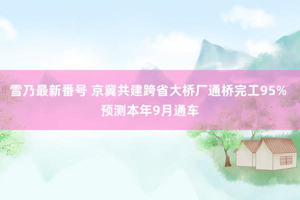 雪乃最新番号 京冀共建跨省大桥厂通桥完工95% 预测本年9月通车