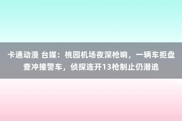 卡通动漫 台媒：桃园机场夜深枪响，一辆车拒盘查冲撞警车，侦探连开13枪制止仍潜逃