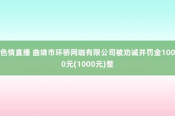 色情直播 曲靖市环骄网咖有限公司被劝诫并罚金1000元(1000元)整