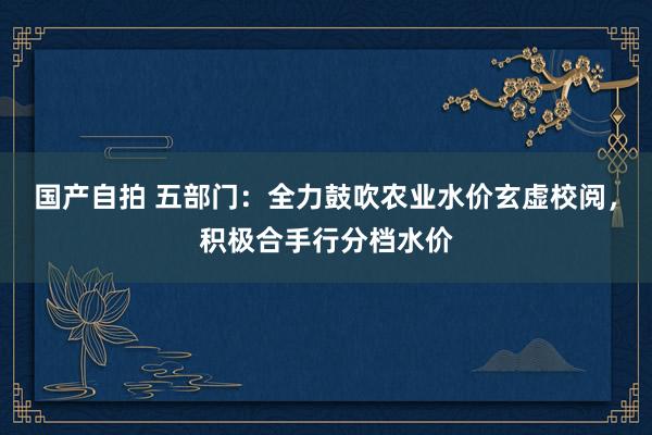 国产自拍 五部门：全力鼓吹农业水价玄虚校阅，积极合手行分档水价