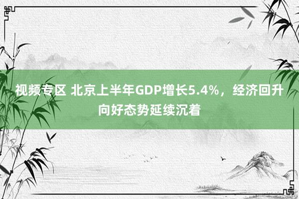 视频专区 北京上半年GDP增长5.4%，经济回升向好态势延续沉着