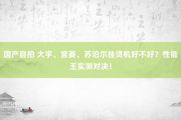 国产自拍 大宇、宫菱、苏泊尔挂烫机好不好？性能王实测对决！