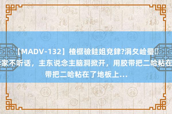 【MADV-132】楂樼礆銈姐兗銉?涓夊崄璺法 哈士奇拆家不听话，主东说念主脑洞掀开，用胶带把二哈粘在了地板上…