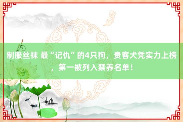 制服丝袜 最“记仇”的4只狗，贵客犬凭实力上榜，第一被列入禁养名单！