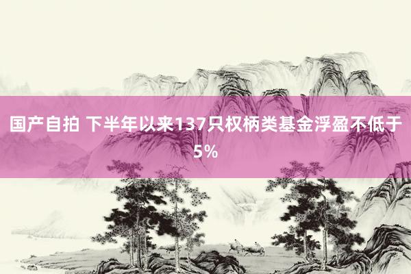 国产自拍 下半年以来137只权柄类基金浮盈不低于5%