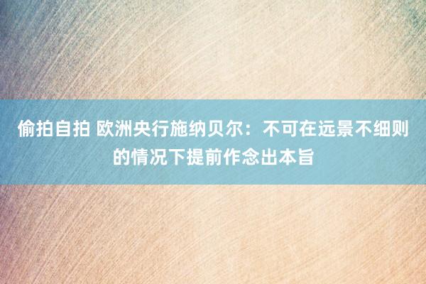 偷拍自拍 欧洲央行施纳贝尔：不可在远景不细则的情况下提前作念出本旨