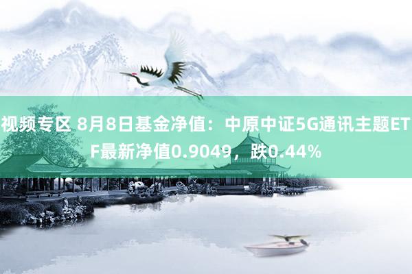 视频专区 8月8日基金净值：中原中证5G通讯主题ETF最新净值0.9049，跌0.44%