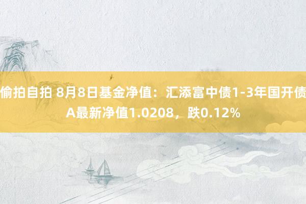 偷拍自拍 8月8日基金净值：汇添富中债1-3年国开债A最新净值1.0208，跌0.12%