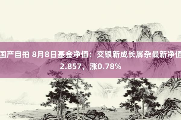 国产自拍 8月8日基金净值：交银新成长羼杂最新净值2.857，涨0.78%