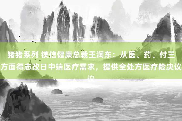 猪猪系列 镁信健康总裁王润东：从医、药、付三方面得志改日中端医疗需求，提供全处方医疗险决议