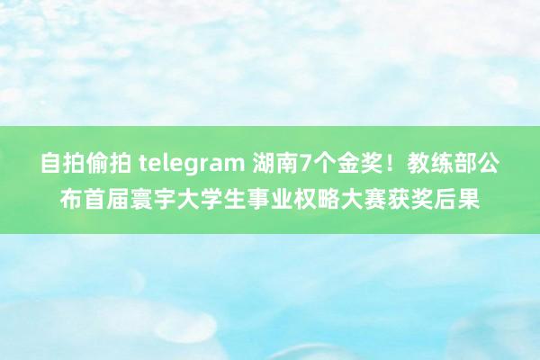 自拍偷拍 telegram 湖南7个金奖！教练部公布首届寰宇大学生事业权略大赛获奖后果