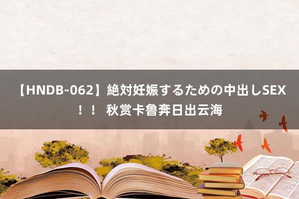 【HNDB-062】絶対妊娠するための中出しSEX！！ 秋赏卡鲁奔日出云海