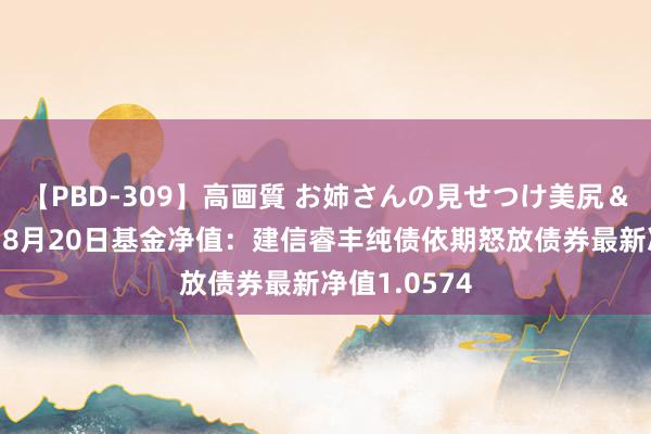 【PBD-309】高画質 お姉さんの見せつけ美尻＆美脚の誘惑 8月20日基金净值：建信睿丰纯债依期怒放债券最新净值1.0574