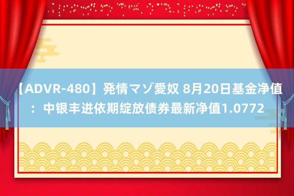 【ADVR-480】発情マゾ愛奴 8月20日基金净值：中银丰进依期绽放债券最新净值1.0772