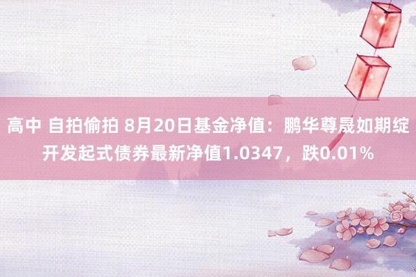 高中 自拍偷拍 8月20日基金净值：鹏华尊晟如期绽开发起式债券最新净值1.0347，跌0.01%