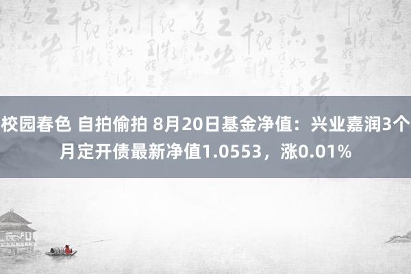 校园春色 自拍偷拍 8月20日基金净值：兴业嘉润3个月定开债最新净值1.0553，涨0.01%