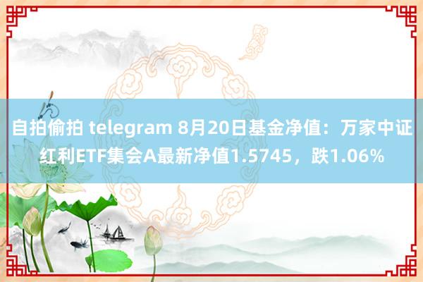 自拍偷拍 telegram 8月20日基金净值：万家中证红利ETF集会A最新净值1.5745，跌1.06%