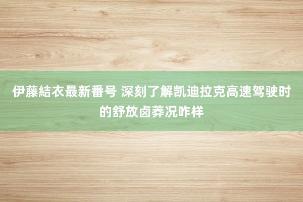 伊藤結衣最新番号 深刻了解凯迪拉克高速驾驶时的舒放卤莽况咋样