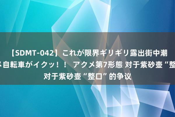 【SDMT-042】これが限界ギリギリ露出街中潮吹き アクメ自転車がイクッ！！ アクメ第7形態 对于紫砂壶“整口”的争议