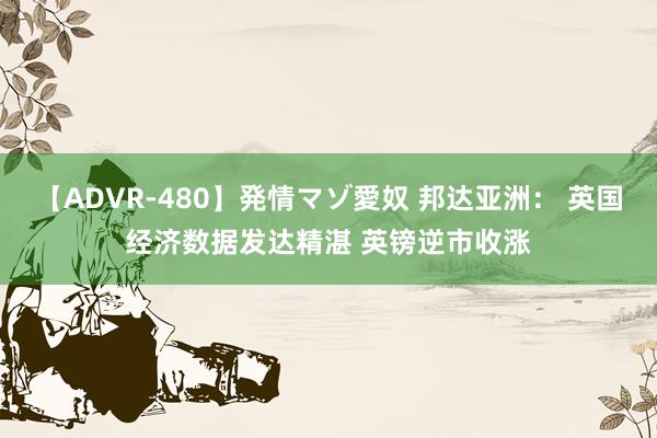 【ADVR-480】発情マゾ愛奴 邦达亚洲： 英国经济数据发达精湛 英镑逆市收涨