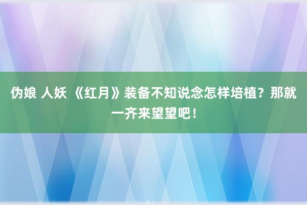 伪娘 人妖 《红月》装备不知说念怎样培植？那就一齐来望望吧！