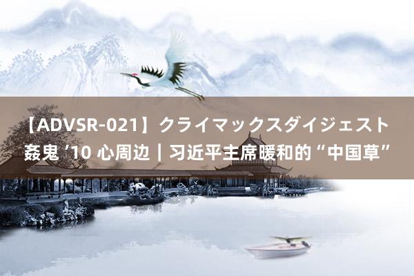 【ADVSR-021】クライマックスダイジェスト 姦鬼 ’10 心周边｜习近平主席暖和的“中国草”