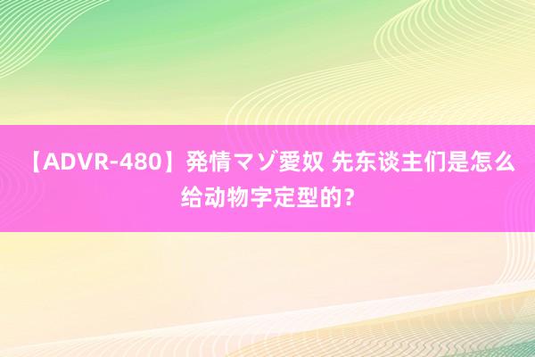 【ADVR-480】発情マゾ愛奴 先东谈主们是怎么给动物字定型的？