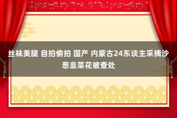 丝袜美腿 自拍偷拍 国产 内蒙古24东谈主采摘沙葱韭菜花被查处