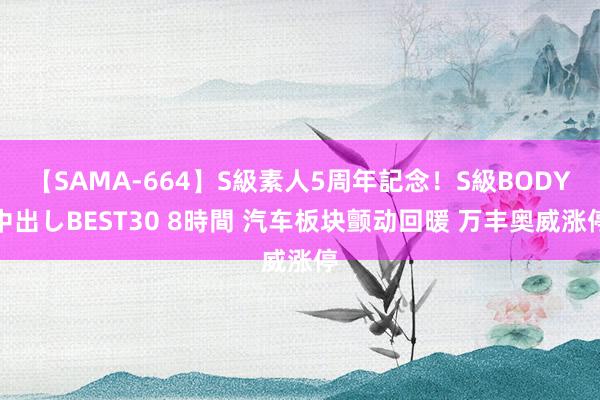 【SAMA-664】S級素人5周年記念！S級BODY中出しBEST30 8時間 汽车板块颤动回暖 万丰奥威涨停