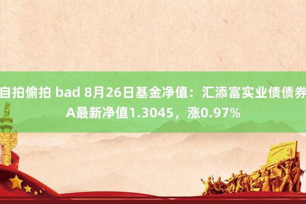 自拍偷拍 bad 8月26日基金净值：汇添富实业债债券A最新净值1.3045，涨0.97%