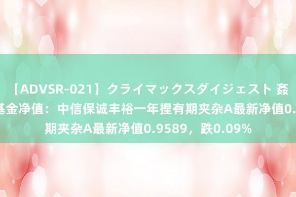 【ADVSR-021】クライマックスダイジェスト 姦鬼 ’10 8月26日基金净值：中信保诚丰裕一年捏有期夹杂A最新净值0.9589，跌0.09%