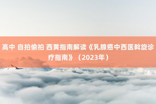 高中 自拍偷拍 西黄指南解读《乳腺癌中西医斡旋诊疗指南》（2023年）