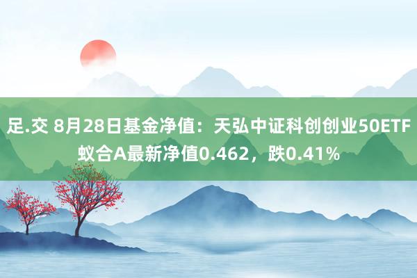 足.交 8月28日基金净值：天弘中证科创创业50ETF蚁合A最新净值0.462，跌0.41%