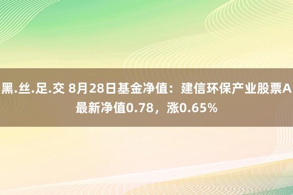 黑.丝.足.交 8月28日基金净值：建信环保产业股票A最新净值0.78，涨0.65%