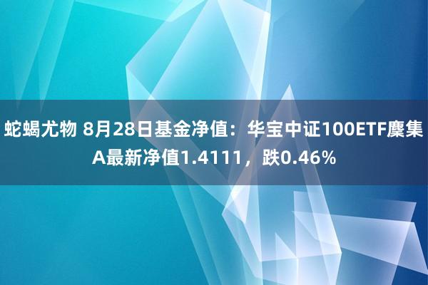 蛇蝎尤物 8月28日基金净值：华宝中证100ETF麇集A最新净值1.4111，跌0.46%