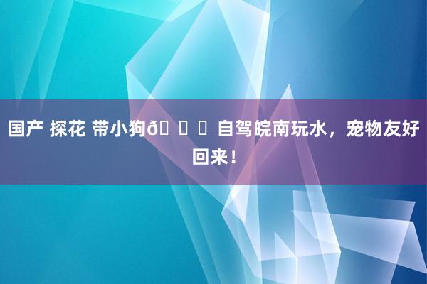 国产 探花 带小狗🐕自驾皖南玩水，宠物友好回来！