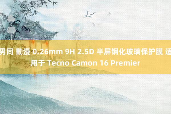 男同 動漫 0.26mm 9H 2.5D 半屏钢化玻璃保护膜 适用于 Tecno Camon 16 Premier