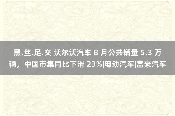 黑.丝.足.交 沃尔沃汽车 8 月公共销量 5.3 万辆，中国市集同比下滑 23%|电动汽车|富豪汽车