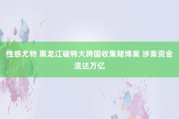 性感尤物 黑龙江破特大跨国收集赌博案 涉案资金流达万亿