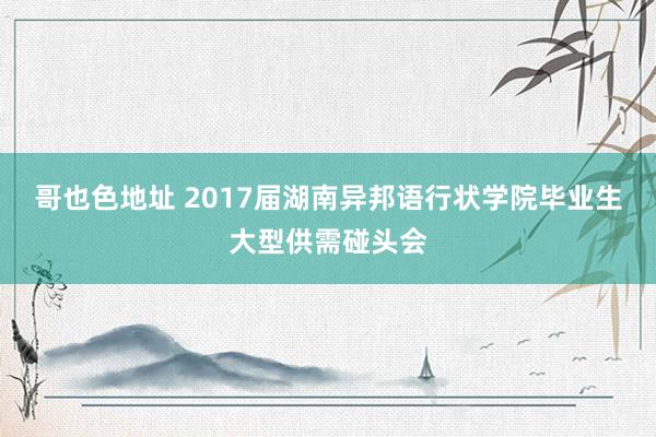 哥也色地址 2017届湖南异邦语行状学院毕业生大型供需碰头会