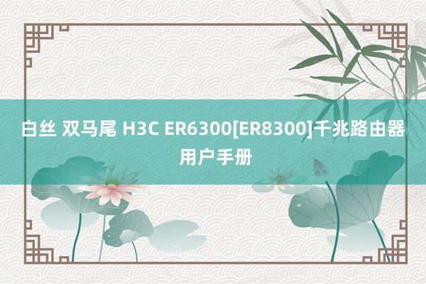 白丝 双马尾 H3C ER6300[ER8300]千兆路由器 用户手册