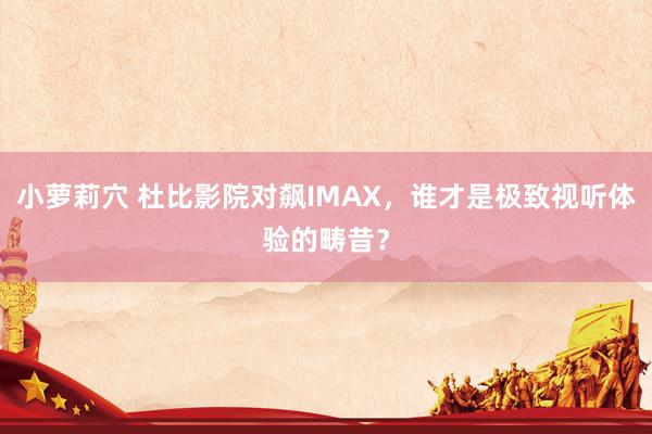 小萝莉穴 杜比影院对飙IMAX，谁才是极致视听体验的畴昔？