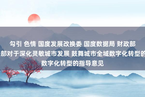 勾引 色情 国度发展改换委 国度数据局 财政部 当然资源部对于深化灵敏城市发展 鼓舞城市全域数字化转型的指导意见