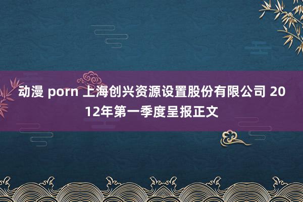 动漫 porn 上海创兴资源设置股份有限公司 2012年第一季度呈报正文