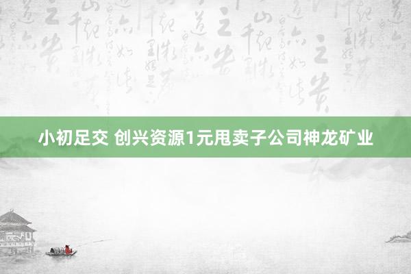 小初足交 创兴资源1元甩卖子公司神龙矿业